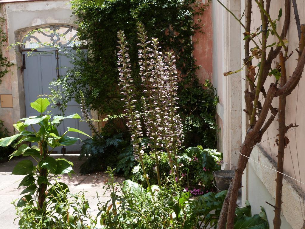 Bed and Breakfast Maison Arriu à Montaut  Extérieur photo